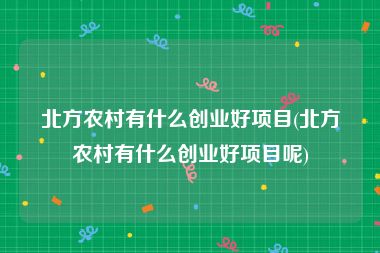 北方农村有什么创业好项目(北方农村有什么创业好项目呢)