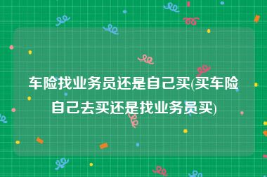 车险找业务员还是自己买(买车险自己去买还是找业务员买)