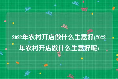 2022年农村开店做什么生意好(2022年农村开店做什么生意好呢)