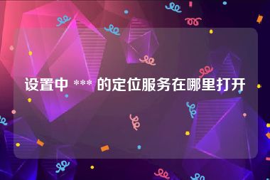 设置中 *** 的定位服务在哪里打开