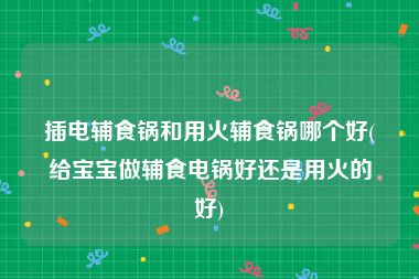 插电辅食锅和用火辅食锅哪个好(给宝宝做辅食电锅好还是用火的好)