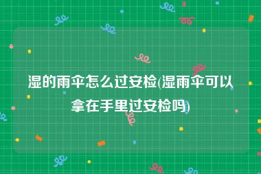 湿的雨伞怎么过安检(湿雨伞可以拿在手里过安检吗)