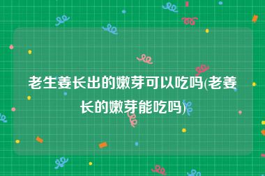 老生姜长出的嫩芽可以吃吗(老姜长的嫩芽能吃吗)