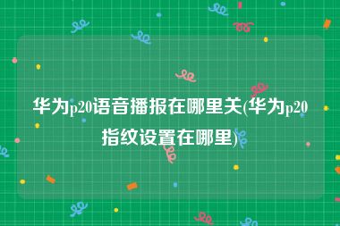 华为p20语音播报在哪里关(华为p20指纹设置在哪里)