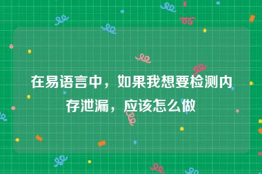 在易语言中，如果我想要检测内存泄漏，应该怎么做