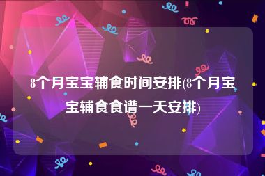 8个月宝宝辅食时间安排(8个月宝宝辅食食谱一天安排)