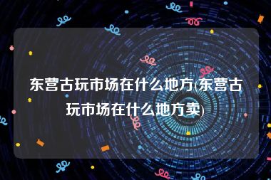 东营古玩市场在什么地方(东营古玩市场在什么地方卖)