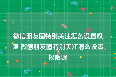 微信朋友圈特别关注怎么设置权限 微信朋友圈特别关注怎么设置权限呢