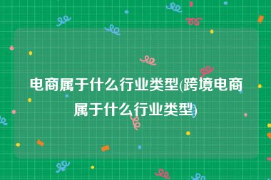 电商属于什么行业类型(跨境电商属于什么行业类型)