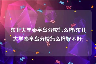 东北大学秦皇岛分校怎么样(东北大学秦皇岛分校怎么样好不好)