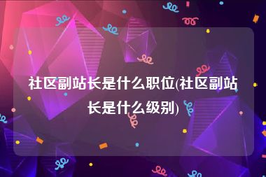社区副站长是什么职位(社区副站长是什么级别)