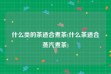 什么类的茶适合煮茶(什么茶适合蒸汽煮茶)
