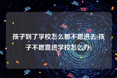 孩子到了学校怎么都不愿进去(孩子不愿意进学校怎么办)