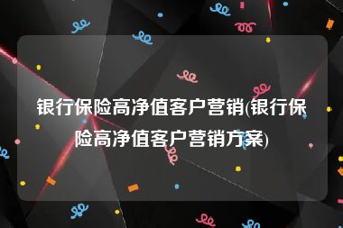 银行保险高净值客户营销(银行保险高净值客户营销方案)