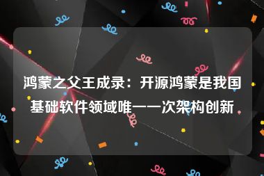鸿蒙之父王成录：开源鸿蒙是我国基础软件领域唯一一次架构创新