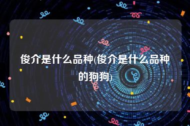 俊介是什么品种(俊介是什么品种的狗狗)