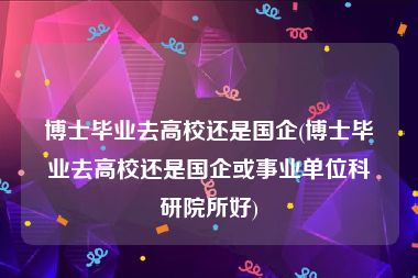 博士毕业去高校还是国企(博士毕业去高校还是国企或事业单位科研院所好)