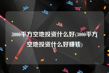 3000平方空地投资什么好(3000平方空地投资什么好赚钱)