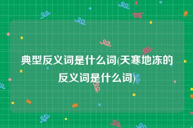 典型反义词是什么词(天寒地冻的反义词是什么词)
