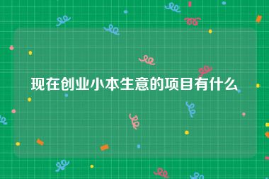 现在创业小本生意的项目有什么