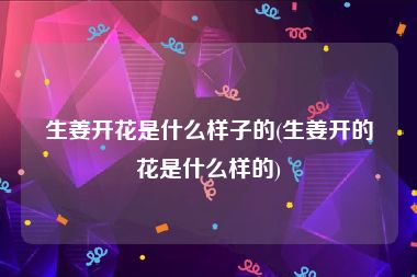 生姜开花是什么样子的(生姜开的花是什么样的)