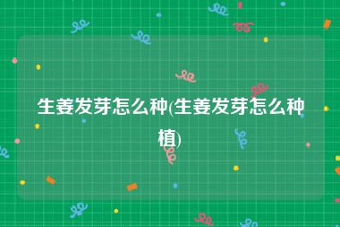 生姜发芽怎么种(生姜发芽怎么种植)