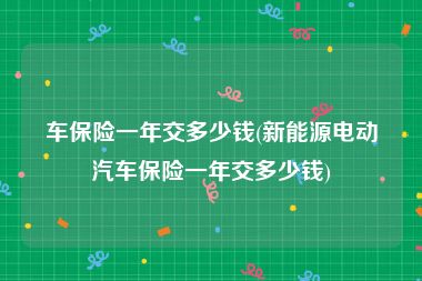 车保险一年交多少钱(新能源电动汽车保险一年交多少钱)