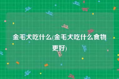 金毛犬吃什么(金毛犬吃什么食物更好)