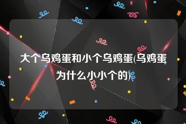 大个乌鸡蛋和小个乌鸡蛋(乌鸡蛋为什么小小个的)
