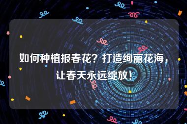 如何种植报春花？打造绚丽花海，让春天永远绽放！