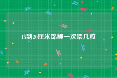15到20厘米锦鲤一次喂几粒