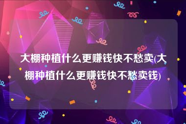 大棚种植什么更赚钱快不愁卖(大棚种植什么更赚钱快不愁卖钱)