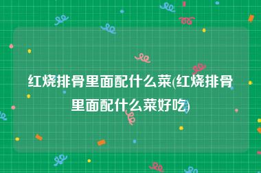 红烧排骨里面配什么菜(红烧排骨里面配什么菜好吃)