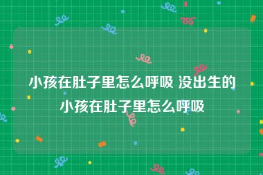 小孩在肚子里怎么呼吸 没出生的小孩在肚子里怎么呼吸