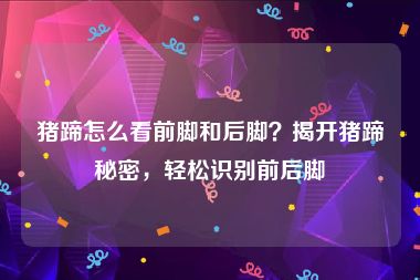 猪蹄怎么看前脚和后脚？揭开猪蹄秘密，轻松识别前后脚