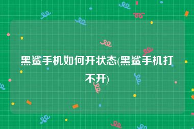 黑鲨手机如何开状态(黑鲨手机打不开)