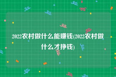 2022农村做什么能赚钱(2022农村做什么才挣钱)