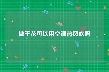 做干花可以用空调热风吹吗