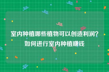 室内种植哪些植物可以创造利润？如何进行室内种植赚钱
