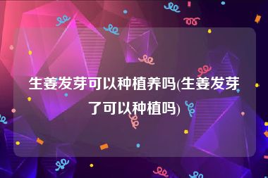 生姜发芽可以种植养吗(生姜发芽了可以种植吗)