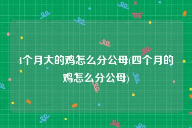4个月大的鸡怎么分公母(四个月的鸡怎么分公母)