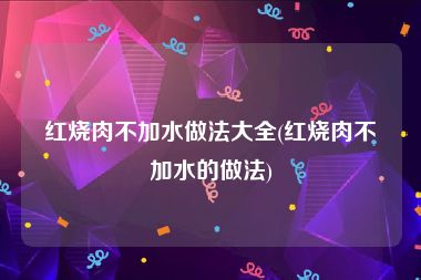 红烧肉不加水做法大全(红烧肉不加水的做法)