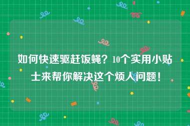 如何快速驱赶饭蝇？10个实用小贴士来帮你解决这个烦人问题！