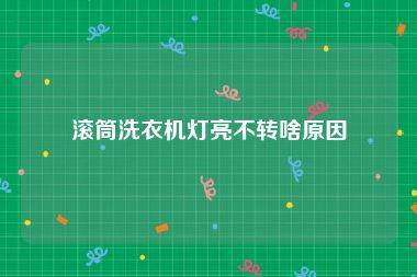 滚筒洗衣机灯亮不转啥原因