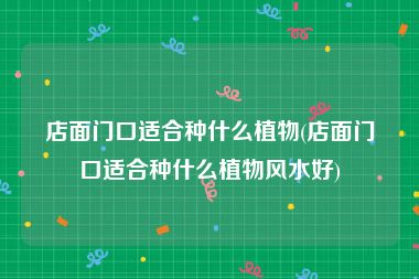 店面门口适合种什么植物(店面门口适合种什么植物风水好)