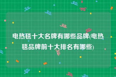 电热毯十大名牌有哪些品牌(电热毯品牌前十大排名有哪些)