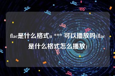 flac是什么格式u *** 可以播放吗(flac是什么格式怎么播放)