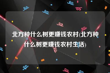 北方种什么树更赚钱农村(北方种什么树更赚钱农村生活)