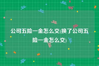 公司五险一金怎么交(换了公司五险一金怎么交)