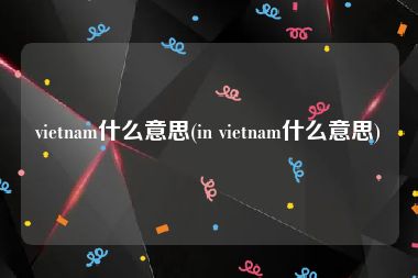 vietnam什么意思(in vietnam什么意思)
